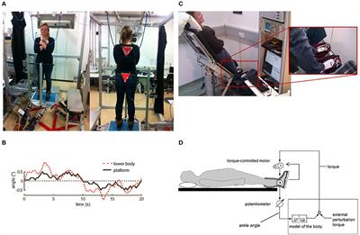 Virtual Balancing for Studying and Training Postural Control